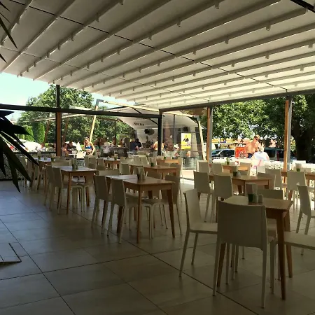 Gladiola 1 Ex Akacia Złote Piaski